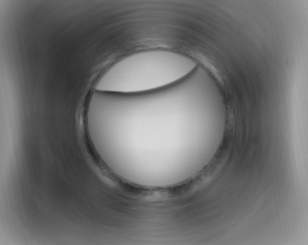 X0000114730398200910211107