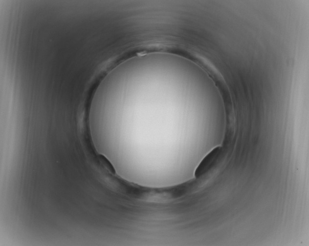X0000114730403200910211107