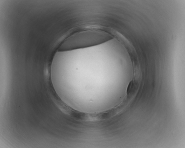 X0000114730405200910211107