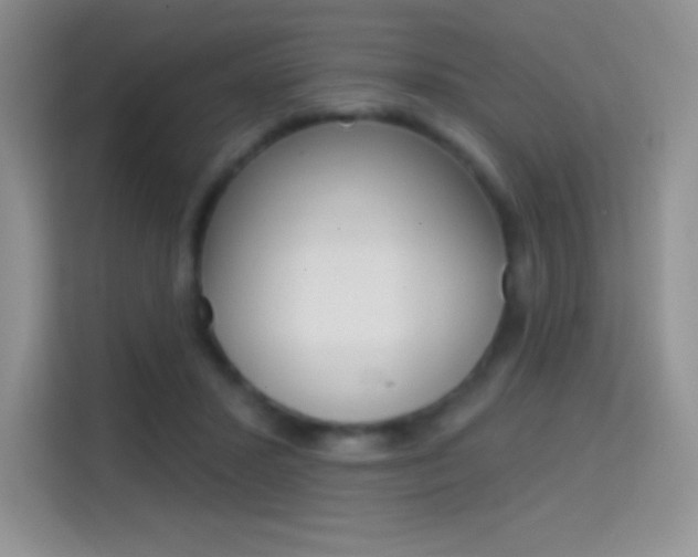 X0000114730407200910211107