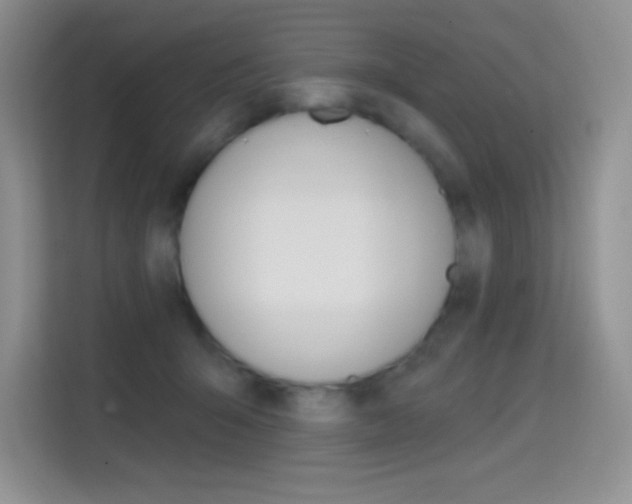 X0000114730415200910211107