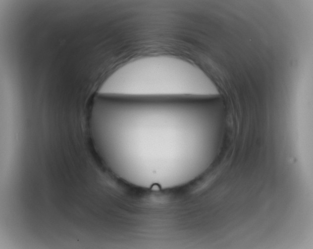 X0000114730416200910211107