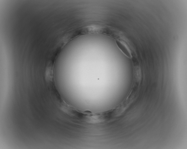 X0000114730419200910211106