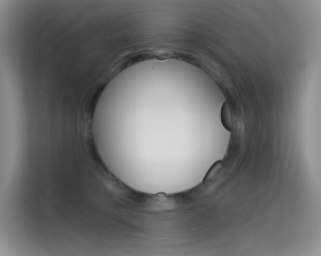 X0000114730421200910211106