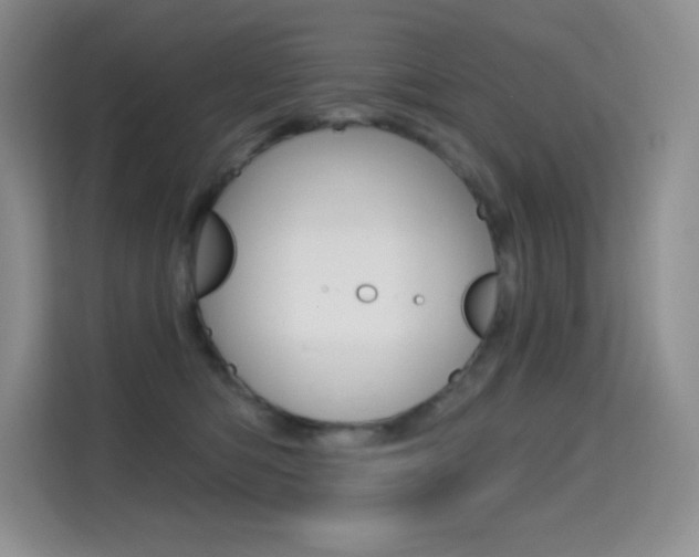 X0000114730422200910211106