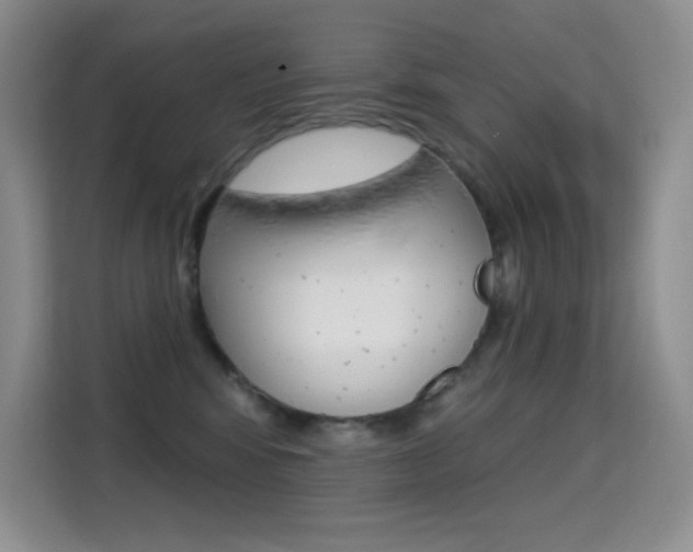 X0000114730424200910211106