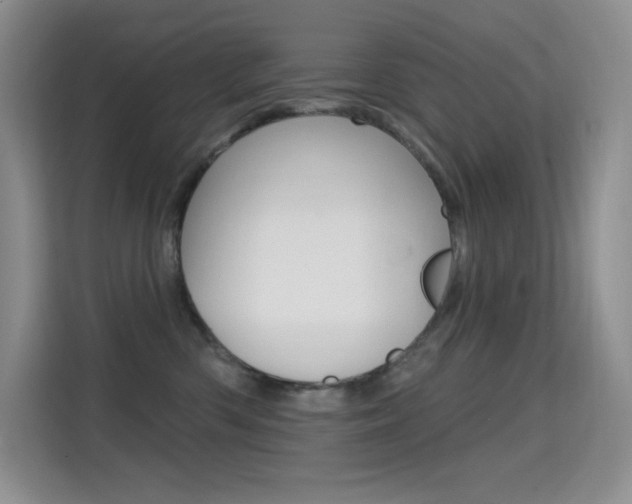 X0000114730426200910211106