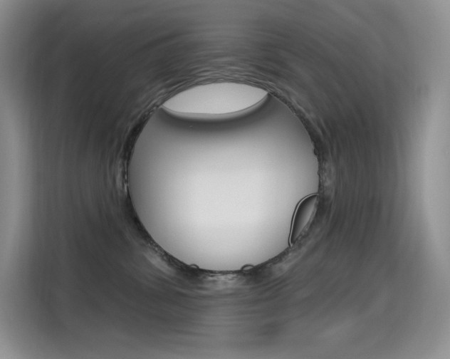 X0000114730428200910211106