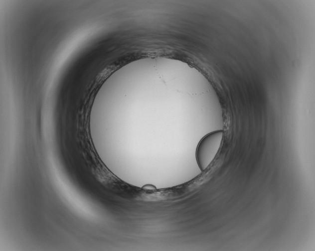 X0000114730430200910211106