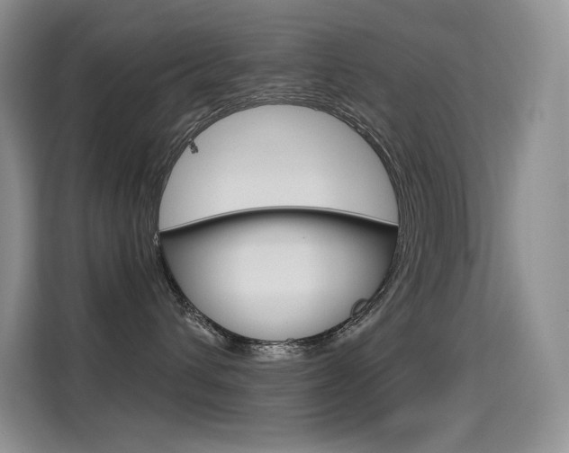X0000114730432200910211106