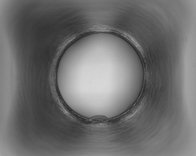 X0000114730433200910211106