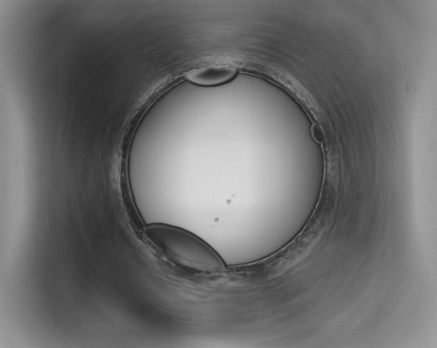 X0000114730434200910211106