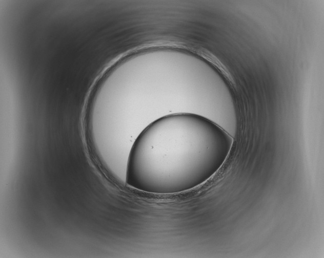 X0000114730436200910211106