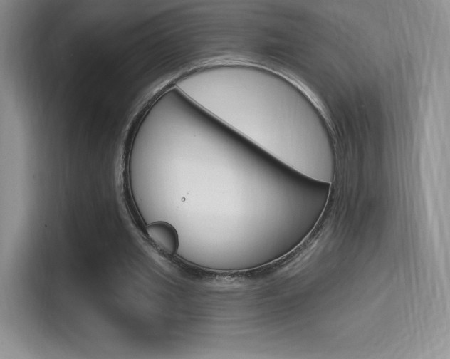 X0000114730437200910211106