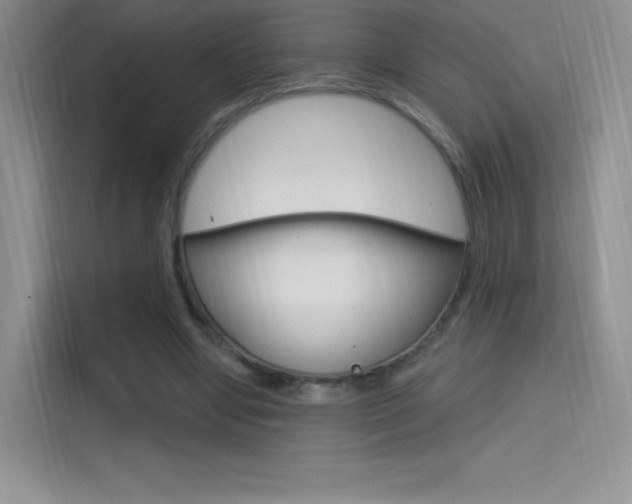 X0000114730442200910211106