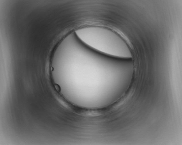 X0000114730445200910211106