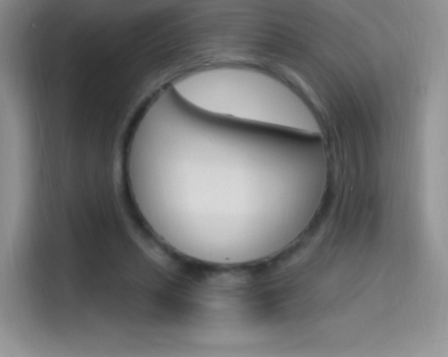 X0000114730447200910211106