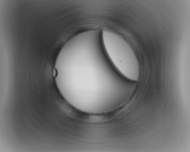 X0000114730457200910211106