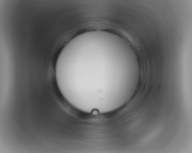 X0000114730459200910211106