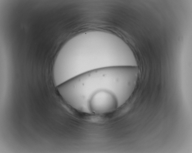 X0000114730462200910211106
