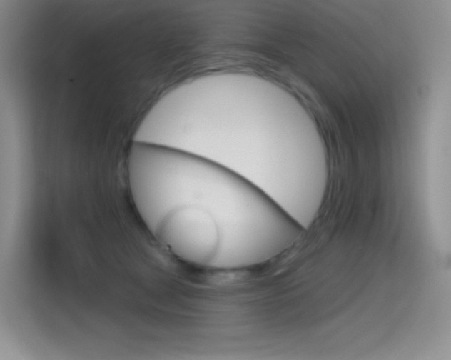 X0000114730465200910211106