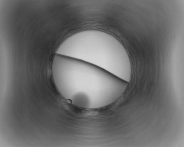 X0000114730471200910211106
