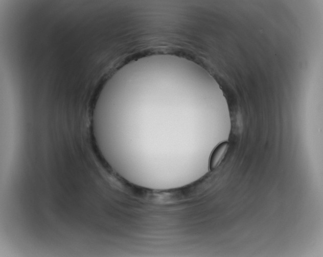X0000114730472200910211106
