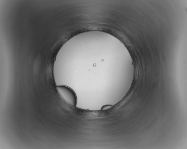 X0000114730473200910211106