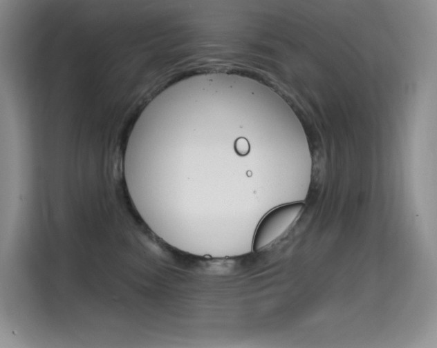 X0000114730474200910211106