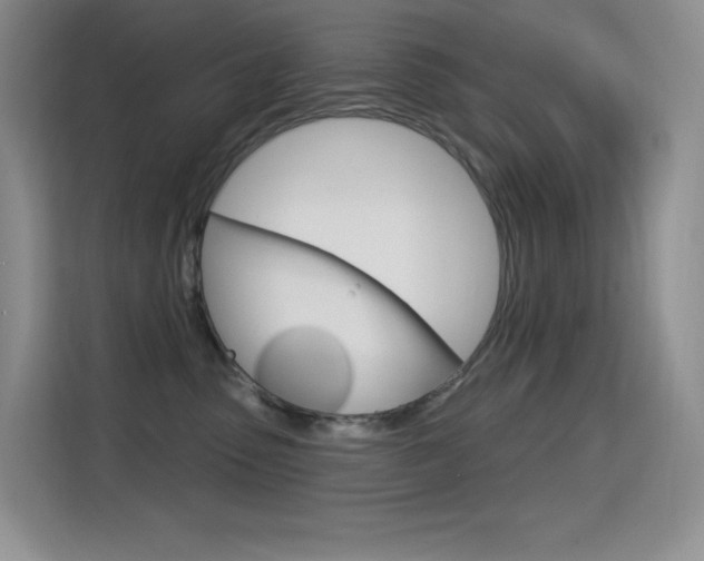 X0000114730475200910211106