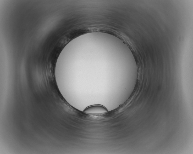 X0000114730477200910211106