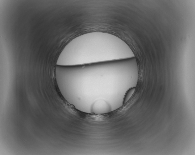 X0000114730478200910211106