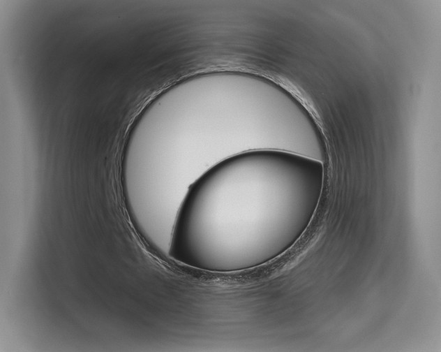 X0000114730481200910211106