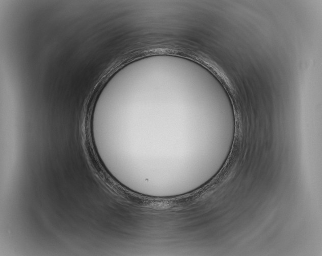 X0000114730482200910211106