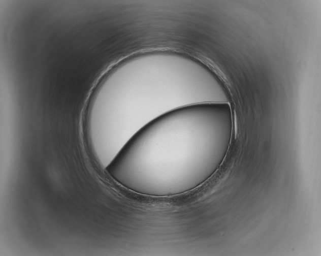 X0000114730483200910211106