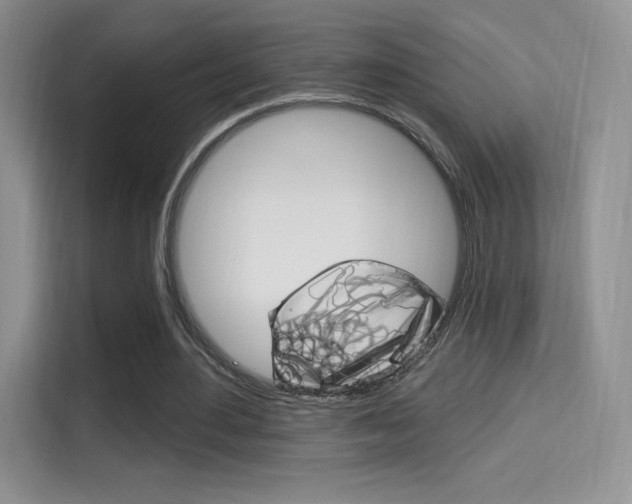 X0000114730484200910211106
