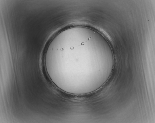 X0000114730487200910211106