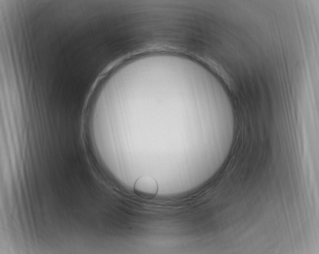 X0000114730488200910211106