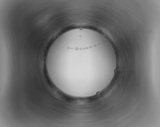 X0000114730495200910211105