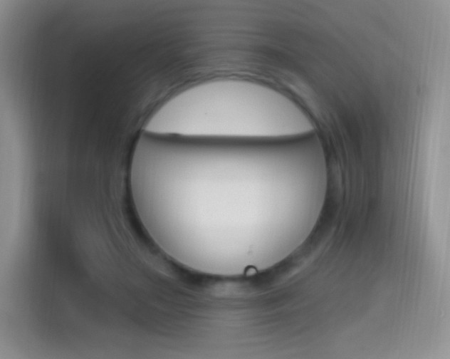 X0000114730499200910211105