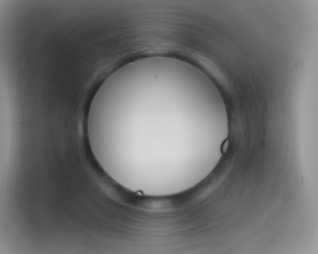 X0000114730501200910211105