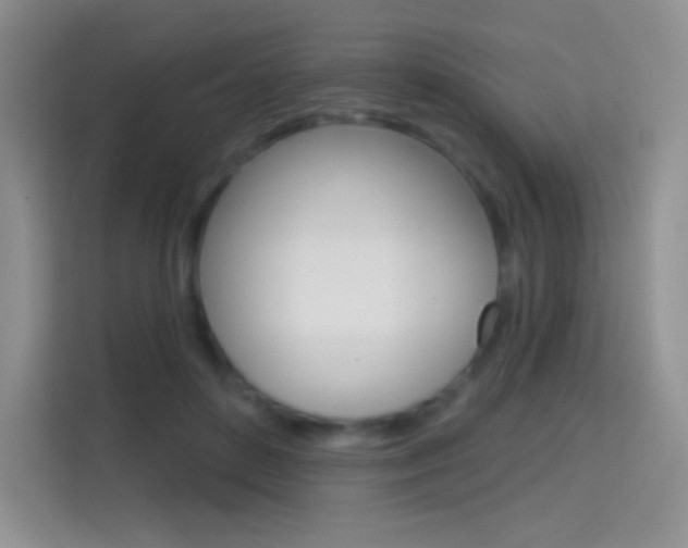 X0000114730504200910211105