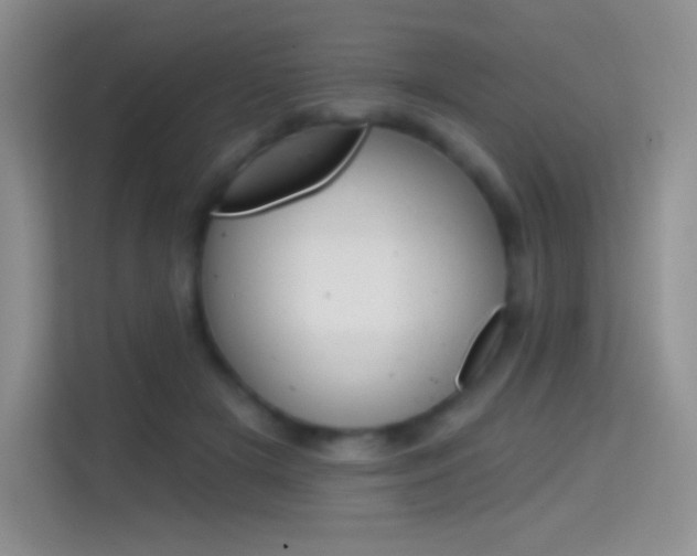 X0000114730505200910211105