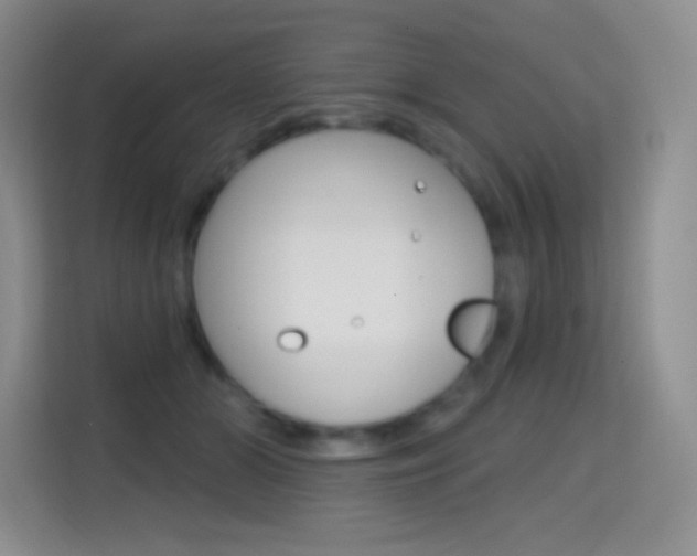 X0000114730510200910211105