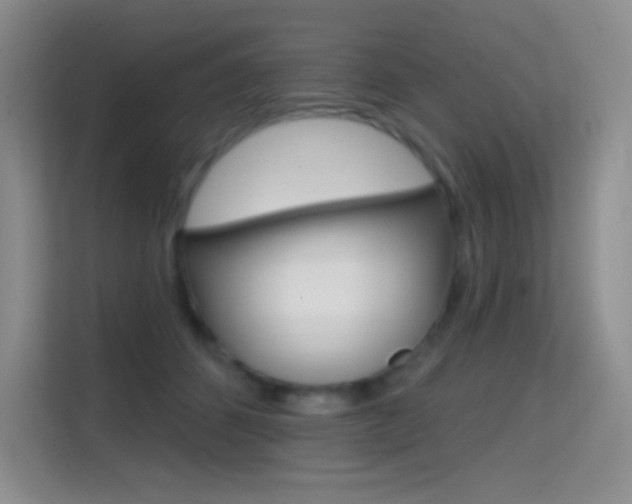 X0000114730512200910211105