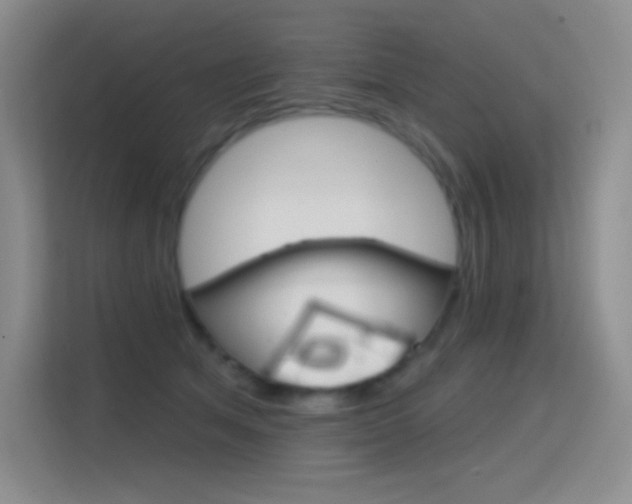 X0000114730513200910211105
