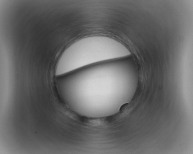X0000114730516200910211105