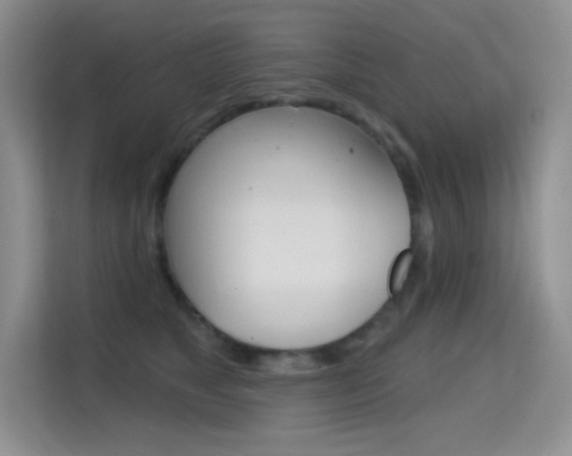 X0000114730517200910211105