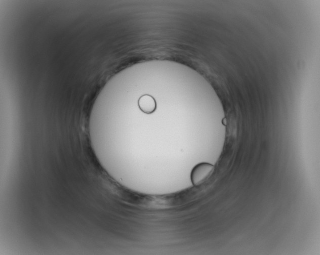 X0000114730518200910211105