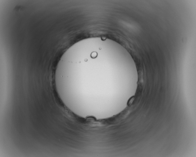 X0000114730519200910211105